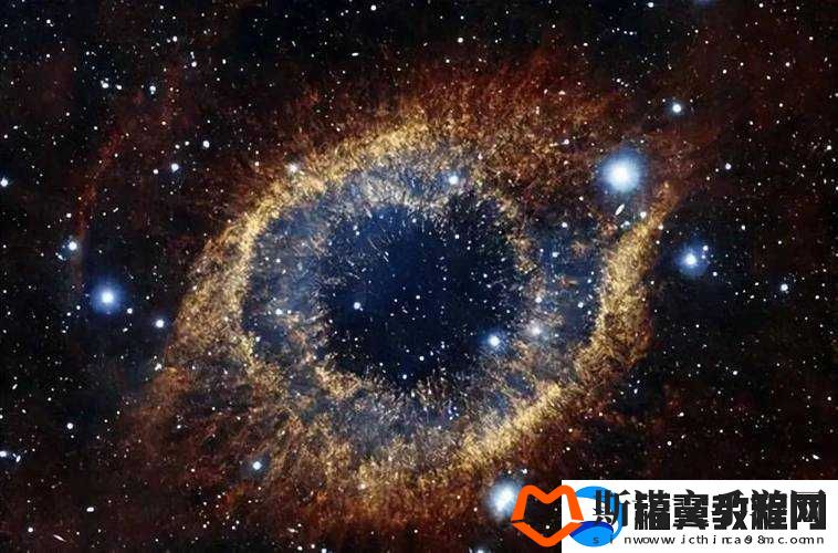 探索人类生存边界