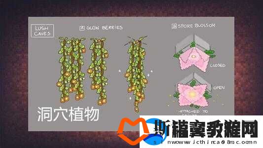 我的世界藤蔓的用途与应用