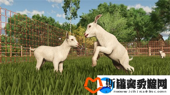 种田游戏也能年货化！模拟农场25是怎样的游戏