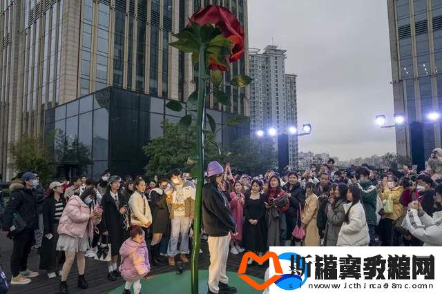 观看波兰八个小时的比赛视频剪辑