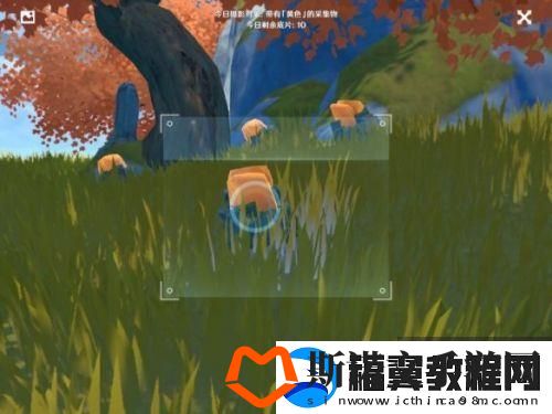 原神手游黄色采集物攻略