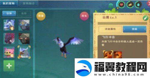 创造与魔法云鹰饲料怎么做