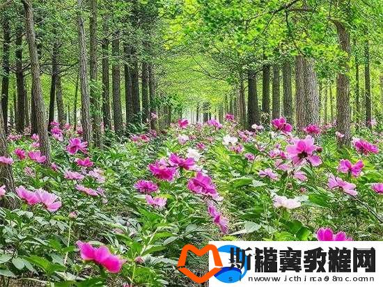 香软玉滑