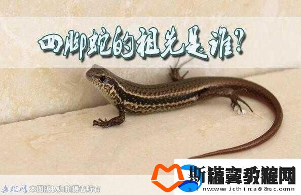 民间说法称清明蔗毒过蛇真正原因是背后的科学秘密