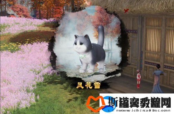 剑网3风花雪奇遇宠物怎么获得